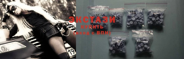 амф Ельня