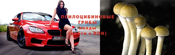 амф Ельня