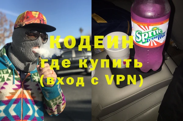 амф Ельня