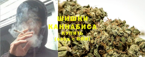 амф Ельня