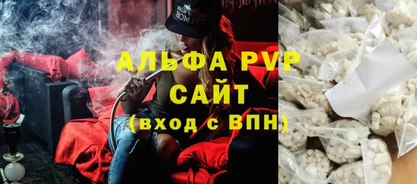 амф Ельня