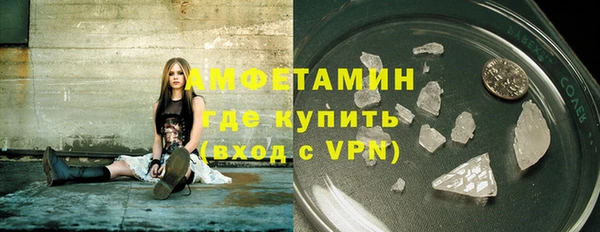 амф Ельня
